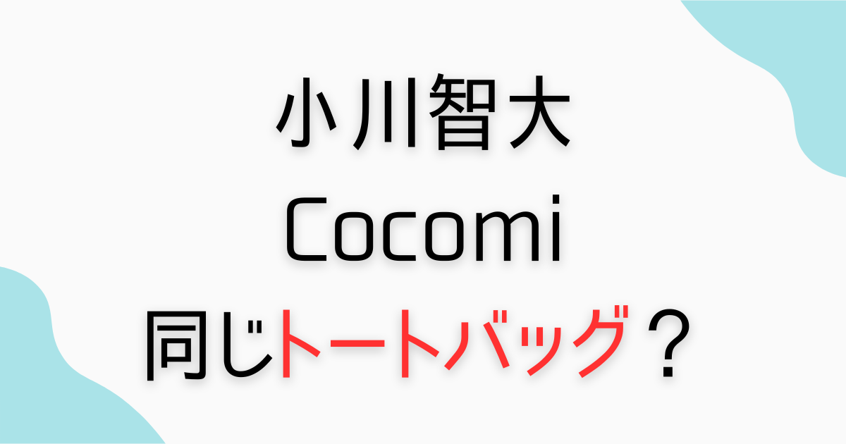小川智大とCocomiおそろいのトートバッグ？